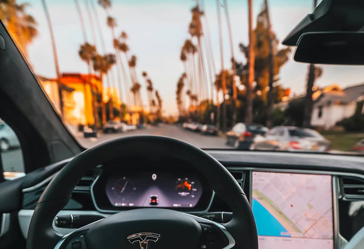 Car interior with palm trees view through windshield